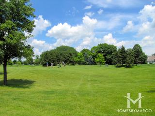 Woodlands of Fiore subdivision in Buffalo Grove, IL