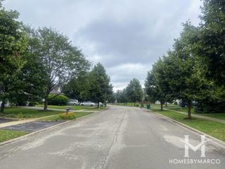 Champion Creek subdivision in Plainfield, IL