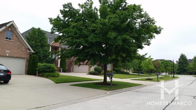 Pebble Beach subdivision in the Gregg's Landing neighborhood of Vernon Hills, IL