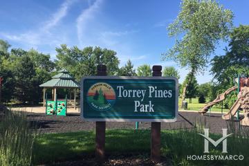 Torrey Pines subdivision in the Gregg's Landing neighborhood of Vernon Hills, IL