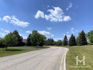 Hawthorn Grove subdivision in Hawthorn Woods, IL