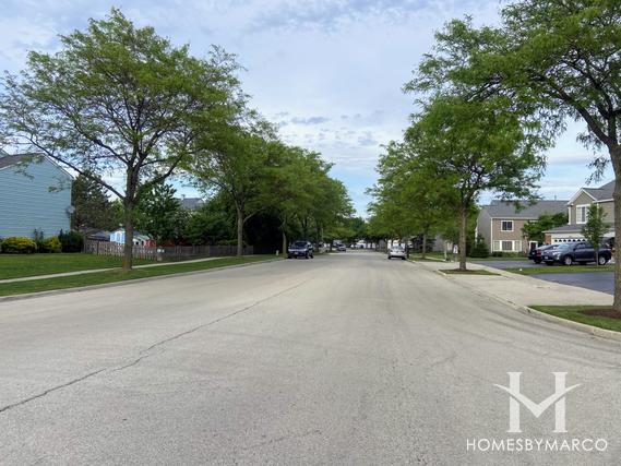 Amber Grove subdivision in Bartlett, IL