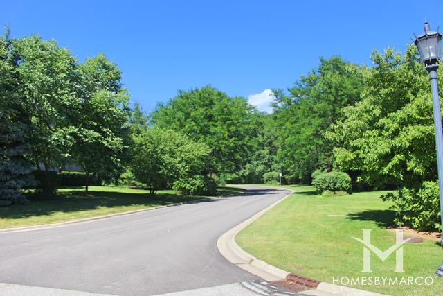 Glenmore Woods subdivision in Lake Bluff, IL