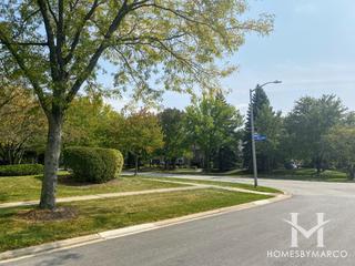 Water Tower Courts subdivision in Darien, IL