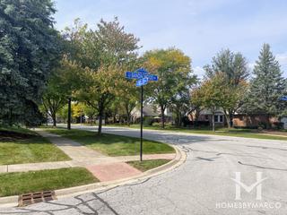 Water Tower Courts subdivision in Darien, IL