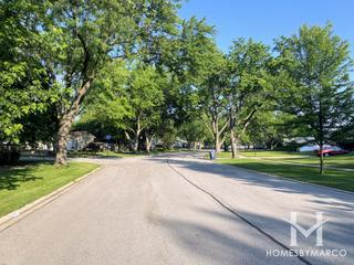 Hinsbrook subdivision in Darien, IL
