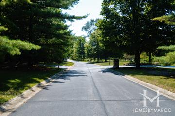 Oak Lake Estates subdivision in Barrington Hills, IL