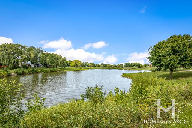 Carolshire subdivision in Carol Stream, IL