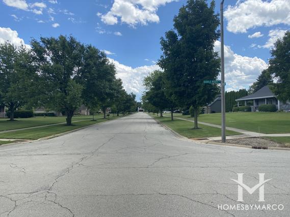 Quails Roost subdivision in New Lenox, IL