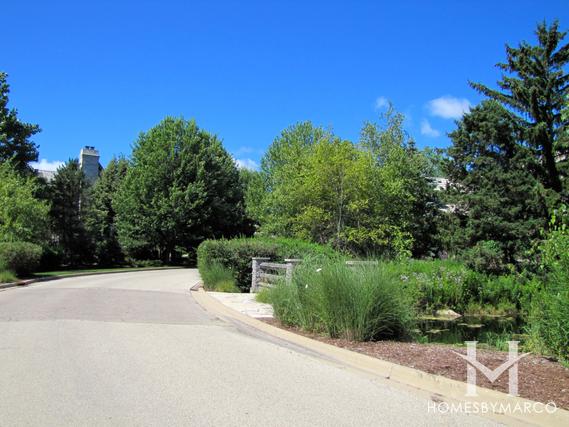 Meadows of Birch Lake subdivision in Lincolnshire, IL