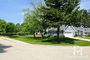 Buena Vista Estates subdivision in Glen Ellyn, IL