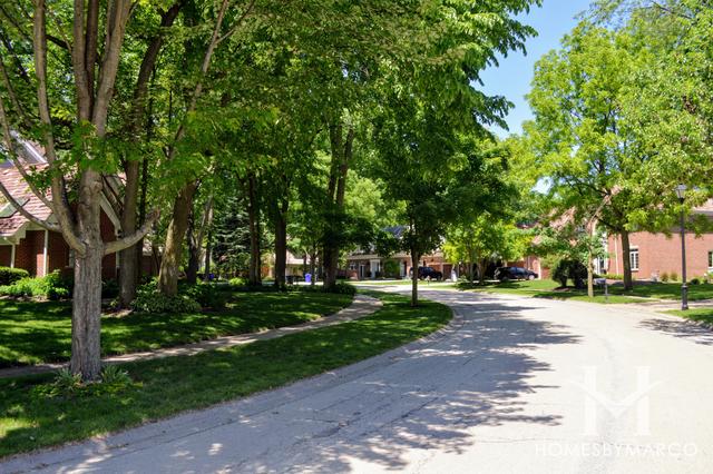 Stacy Woods subdivision in Glen Ellyn, IL