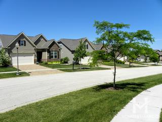 Prairie Ridge subdivision in Geneva, IL