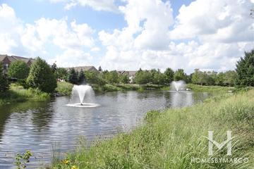 Mirielle subdivision in Buffalo Grove, IL