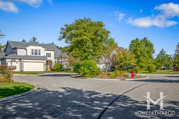 Mirielle subdivision in Buffalo Grove, IL