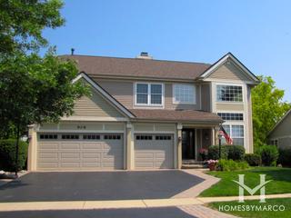 Concord Grove subdivision in Mundelein, IL
