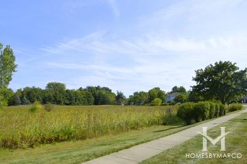 Cambridge Countryside subdivision in Mundelein, IL