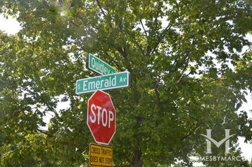 Country Brook Estates subdivision in Mundelein, IL