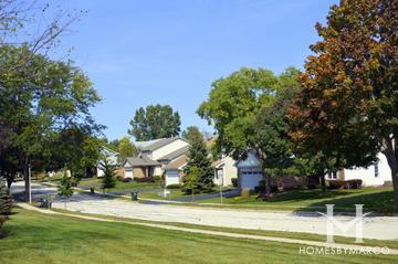 Photos of Country Brook Estates subdivision in Mundelein, IL