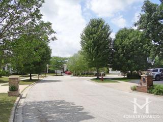 Cambridge Country subdivision in Mundelein, IL