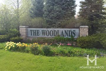 The Woodlands
