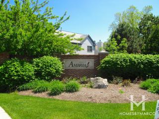 Fields of Ambria subdivision in Mundelein, IL