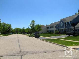 Fields of Ambria subdivision in Mundelein, IL