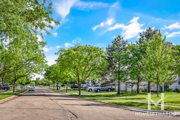 Woodhaven subdivision in Mundelein, IL