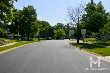 Oakwood subdivision in Grayslake, IL