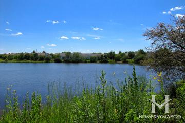 Carillon North subdivision in Grayslake, IL