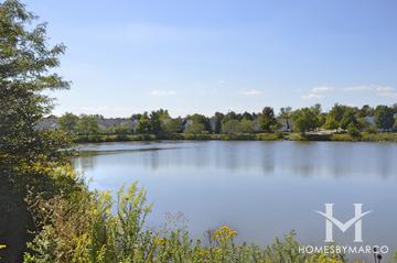 Carillon North subdivision in Grayslake, IL