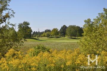 Carillon North subdivision in Grayslake, IL