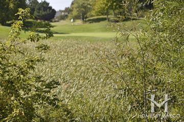 Carillon North subdivision in Grayslake, IL