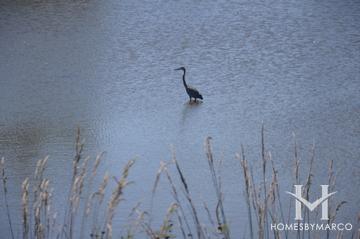 Carillon North subdivision in Grayslake, IL