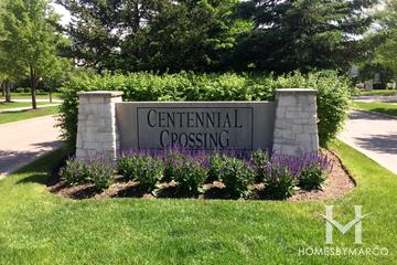 Photos of Centennial Crossing subdivision in Vernon Hills, IL