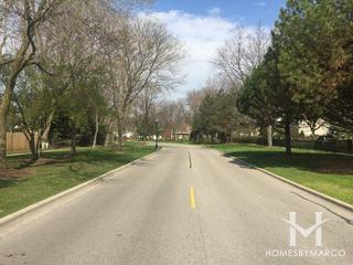 Deerpath subdivision in Vernon Hills, IL