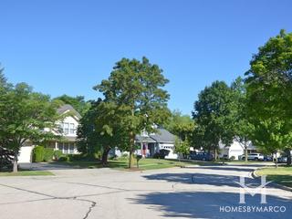 Hawthorn Club subdivision in Vernon Hills, IL
