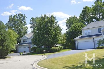 Forest Cove subdivision in Green Oaks, IL