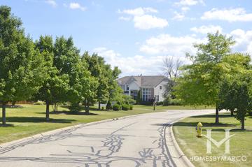 Forest Cove subdivision in Green Oaks, IL