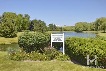 Forest Cove subdivision in Green Oaks, IL