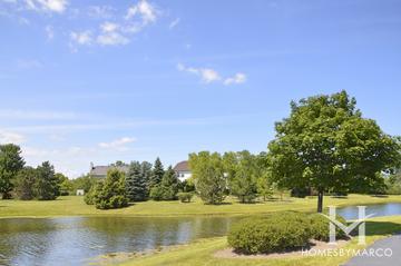 Forest Cove subdivision in Green Oaks, IL