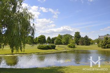 Forest Cove subdivision in Green Oaks, IL