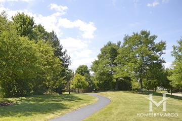Forest Cove subdivision in Green Oaks, IL