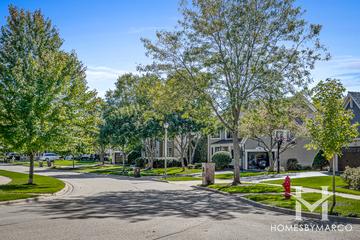 Timber Creek subdivision in Libertyville, IL