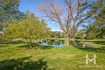 Timber Creek subdivision in Libertyville, IL