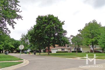 Greentree subdivision in Libertyville, IL