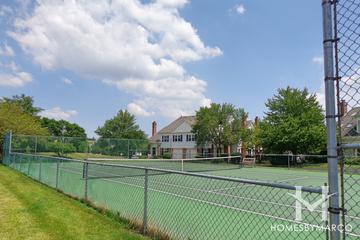 Lake Arlington Towne subdivision in Arlington Heights, IL