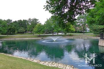 Lake Arlington Towne subdivision in Arlington Heights, IL