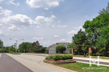 Lake Arlington Towne subdivision in Arlington Heights, IL