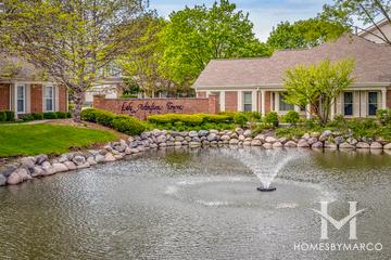 Lake Arlington Towne subdivision in Arlington Heights, IL